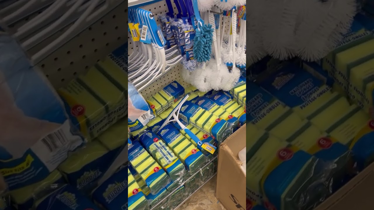 Tienda del DOLLAR TREE todo esto encontré  #dollartree #cleaning #housekeeper #limpiar #limpieza