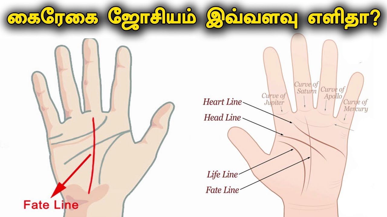 கைரேகை ஜோசியம் பார்ப்பது இவ்வளவு எளிமையா? Palm Reading in Tamil (Palmistry)