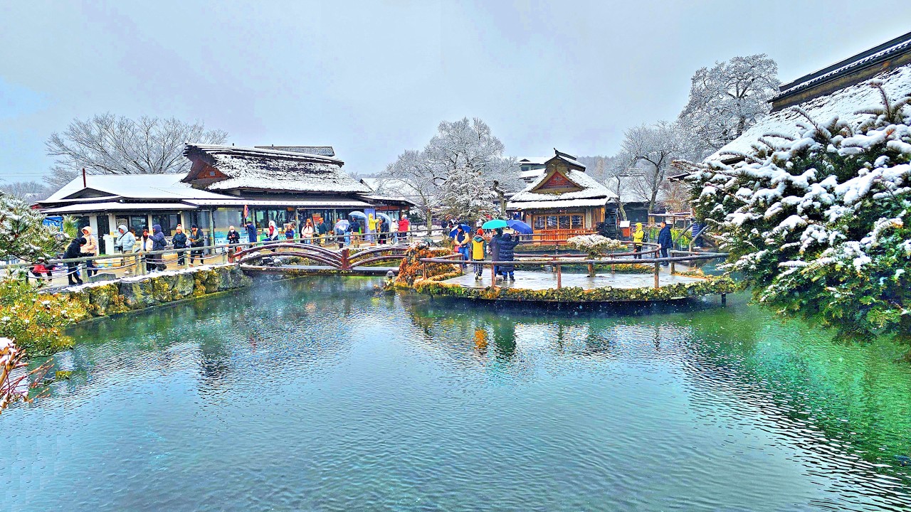 2026-02-17 Day 3 富士吉田 - 新倉山淺間公園（忠靈塔) - 忍野八海 -上野