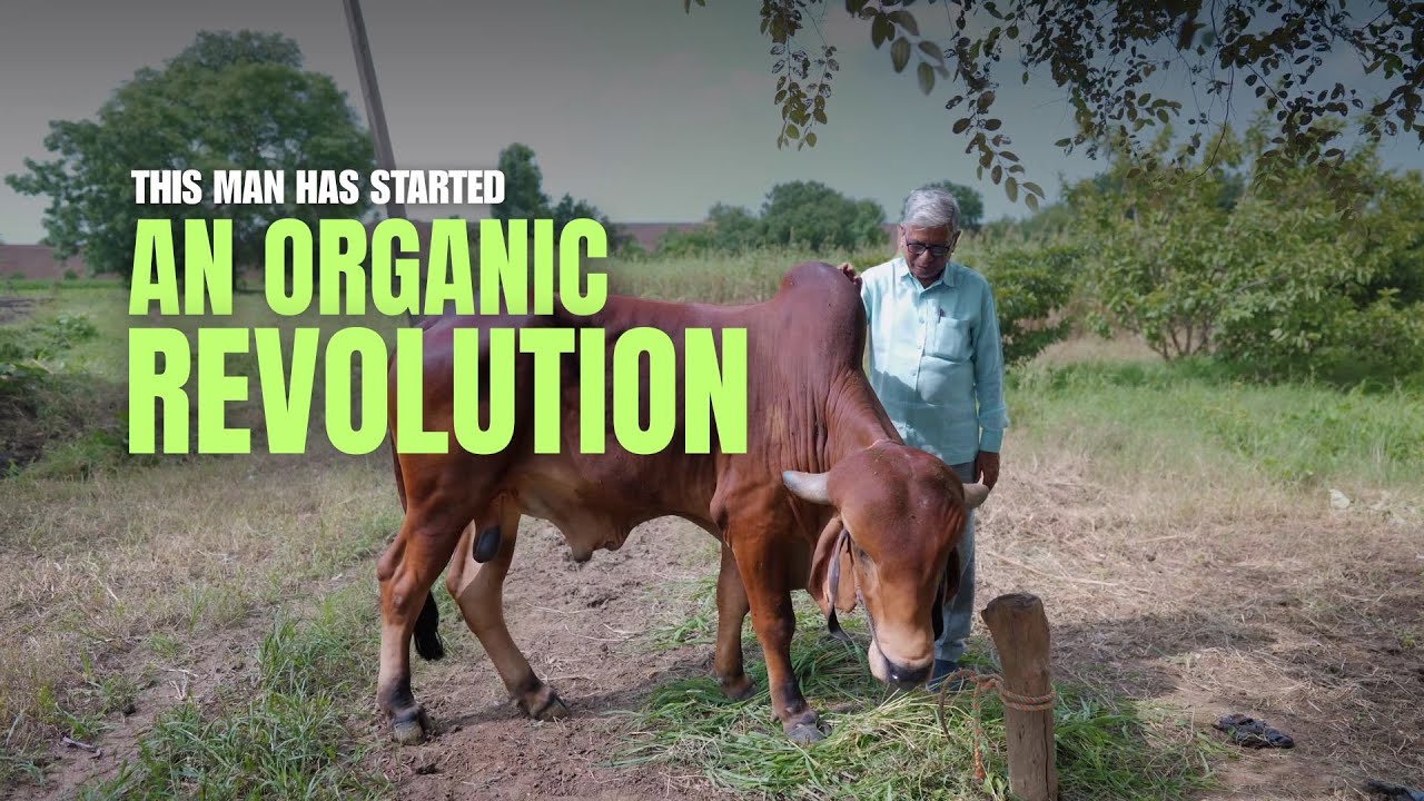 How Subhash Sharma Transformed Yavatmal With Organic Farming