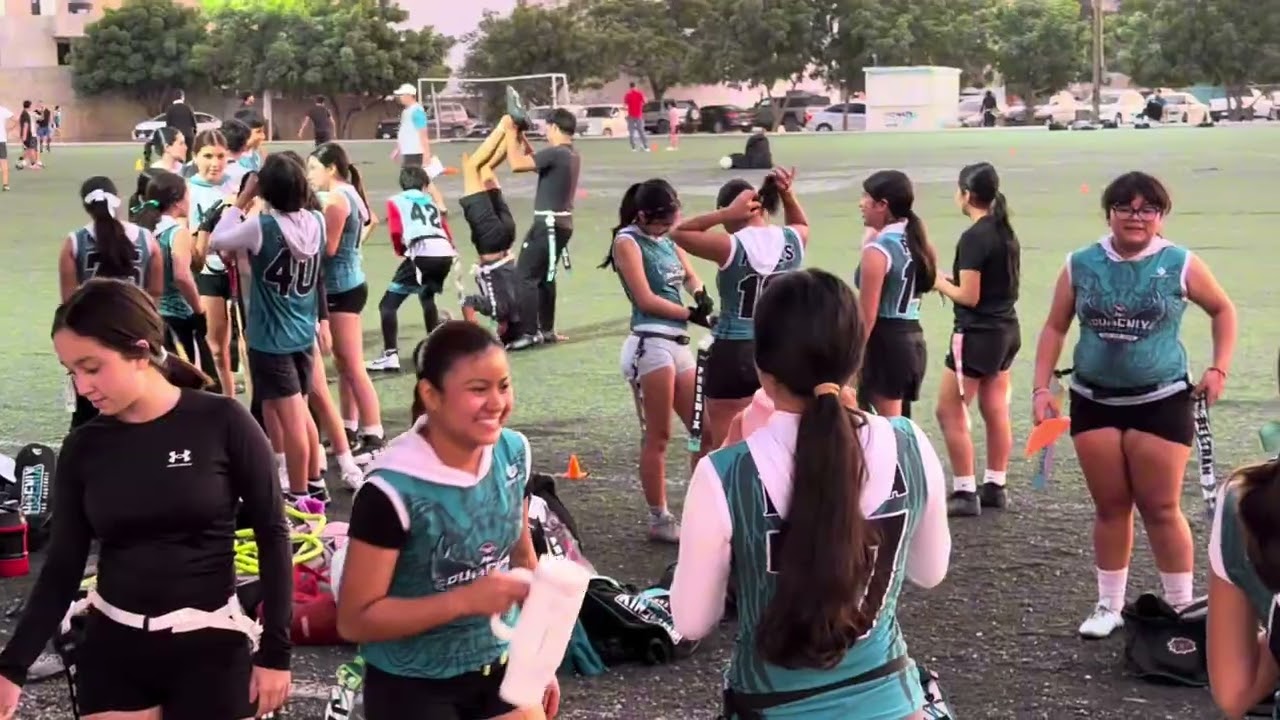 Día de entrenamiento con mis phoenix 🐦‍🔥