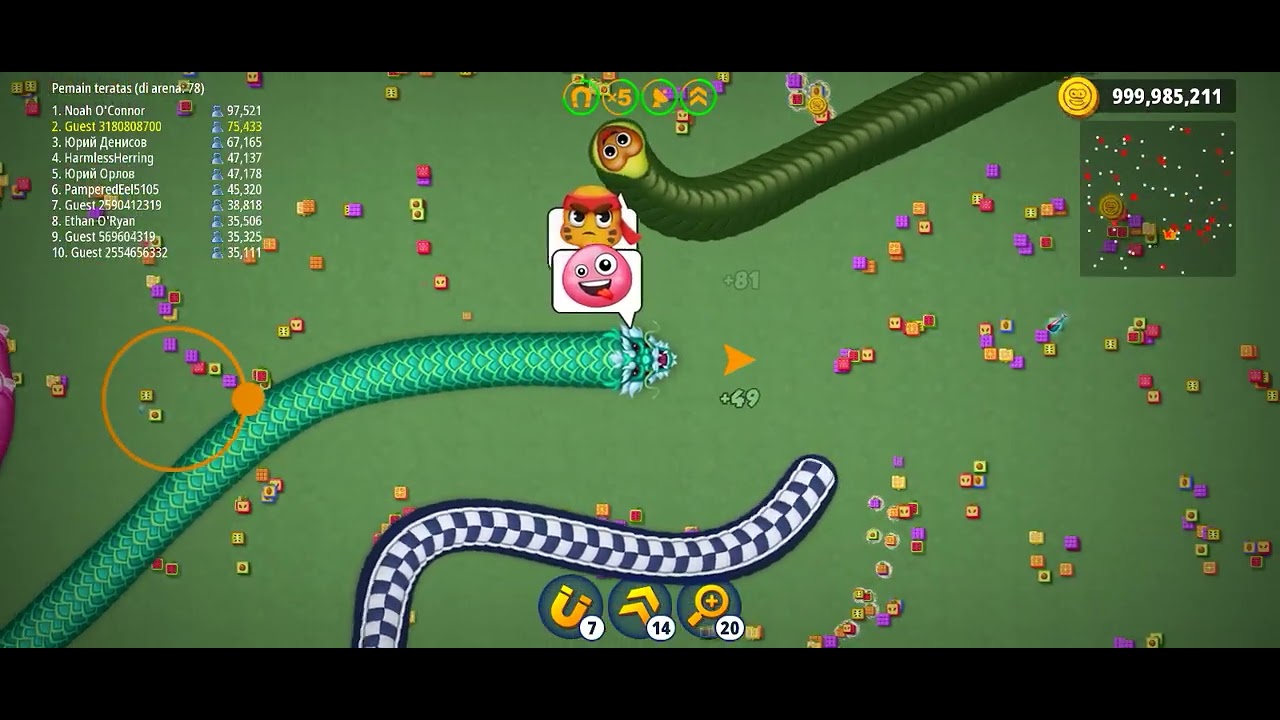 Compete to be the first rank in the world worm zone 