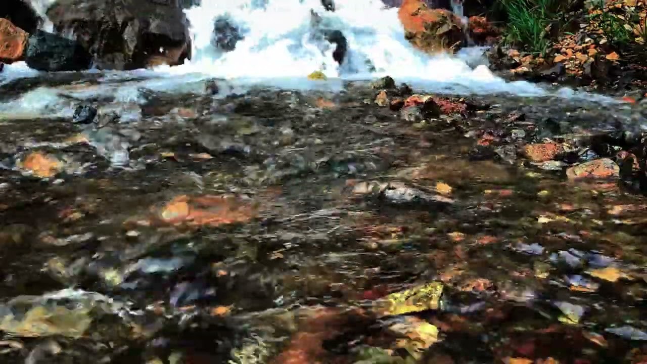 Natural River Ambience | Relaxing Water Sounds