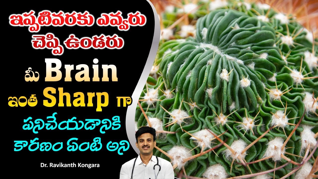 How Brain Works in Head | Brain Parts | Memory Power | Control Diabetes and BP |Dr.Ravikanth Kongara
