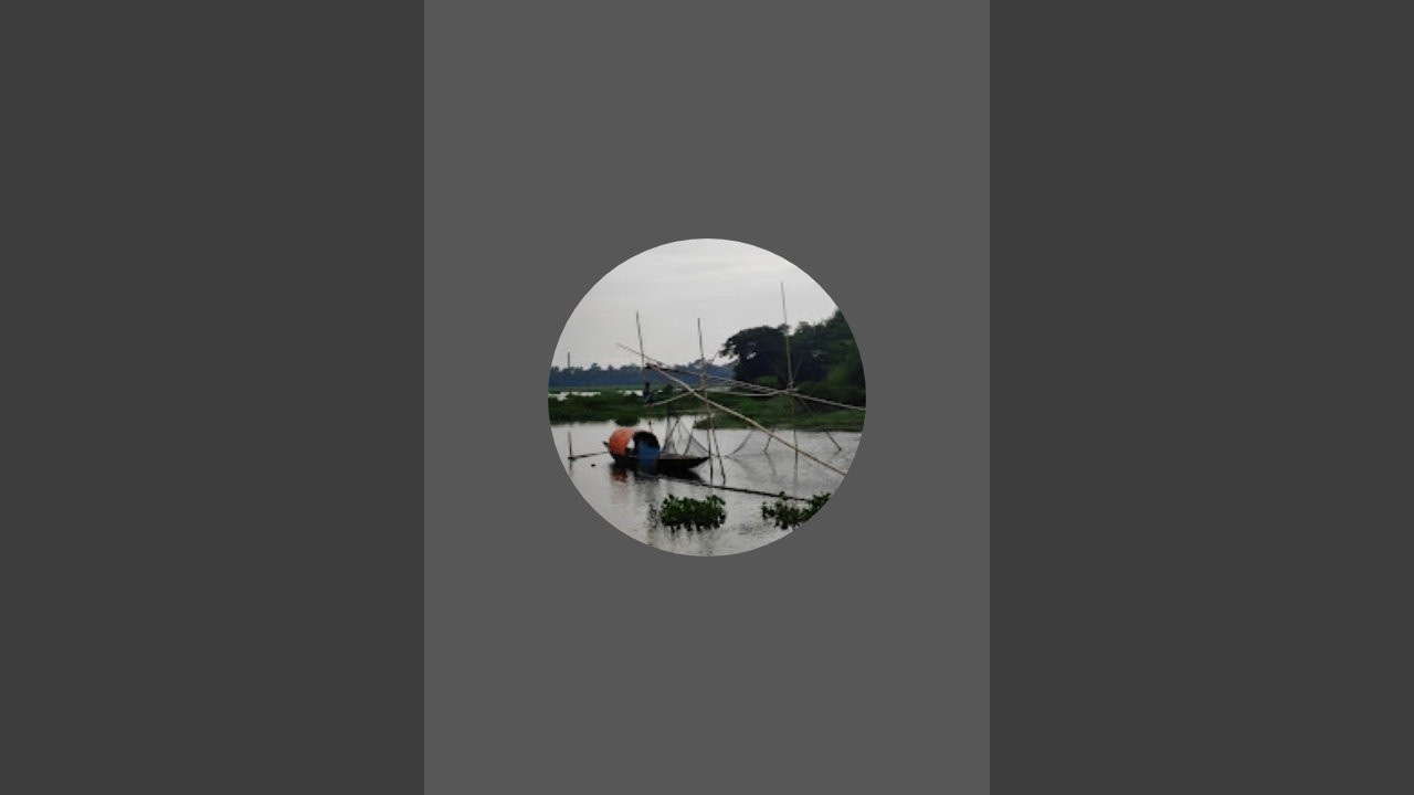 একিউরিয়ামে মাছ কিনে আনলাম