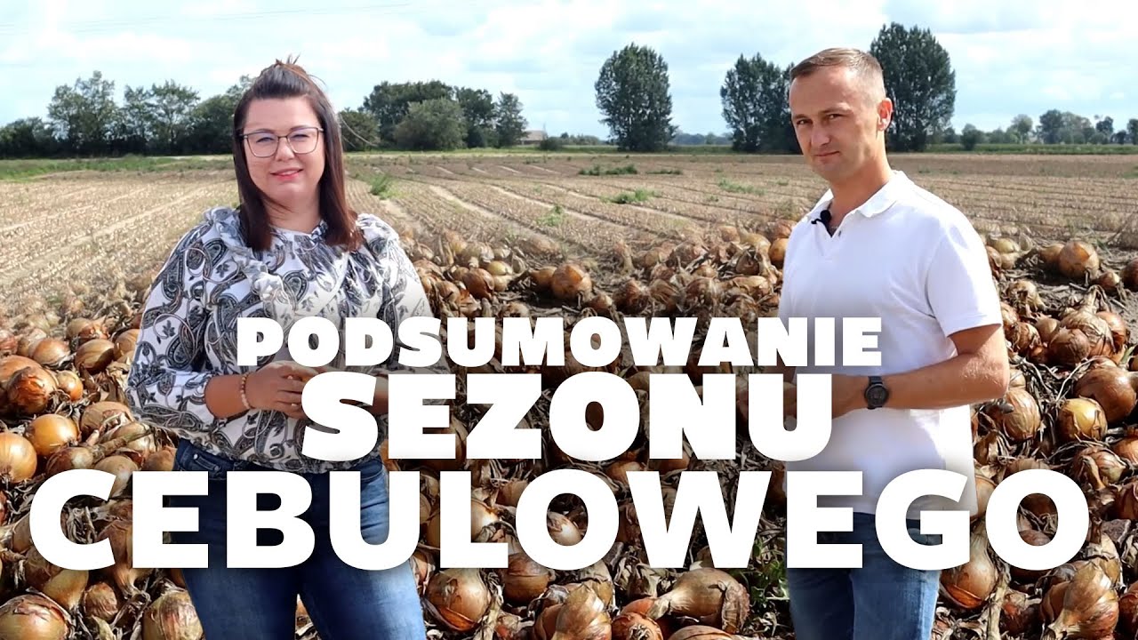 Podsumowanie sezonu cebulowego, jesteśmy w okolicach Strzelna.