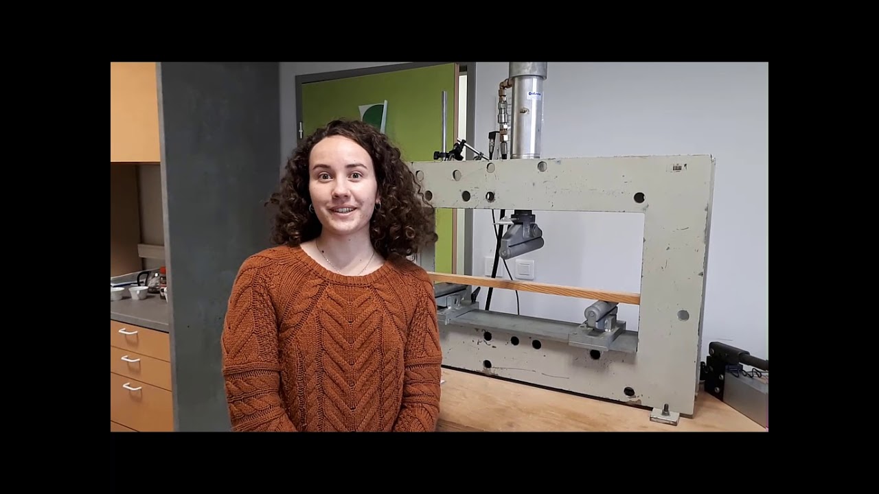 Le BTS Systèmes constructifs Bois et Habitat