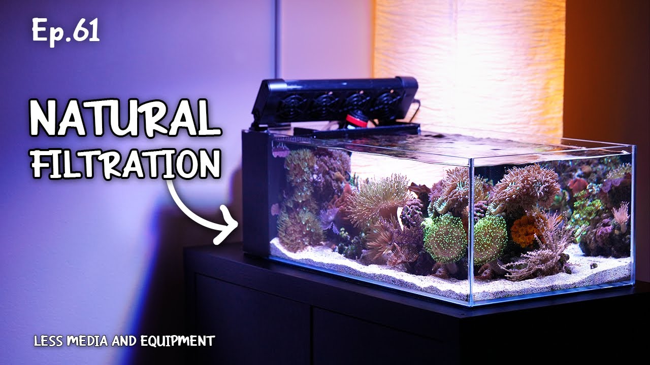 My path towards NATURAL FILTRATION WITHOUT EQUIPMENT | Ep.61