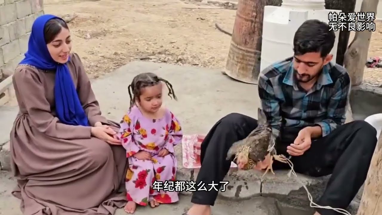 萨利赫和马苏梅合体 #纪录片解说 #伊朗游牧生活 #萨利赫