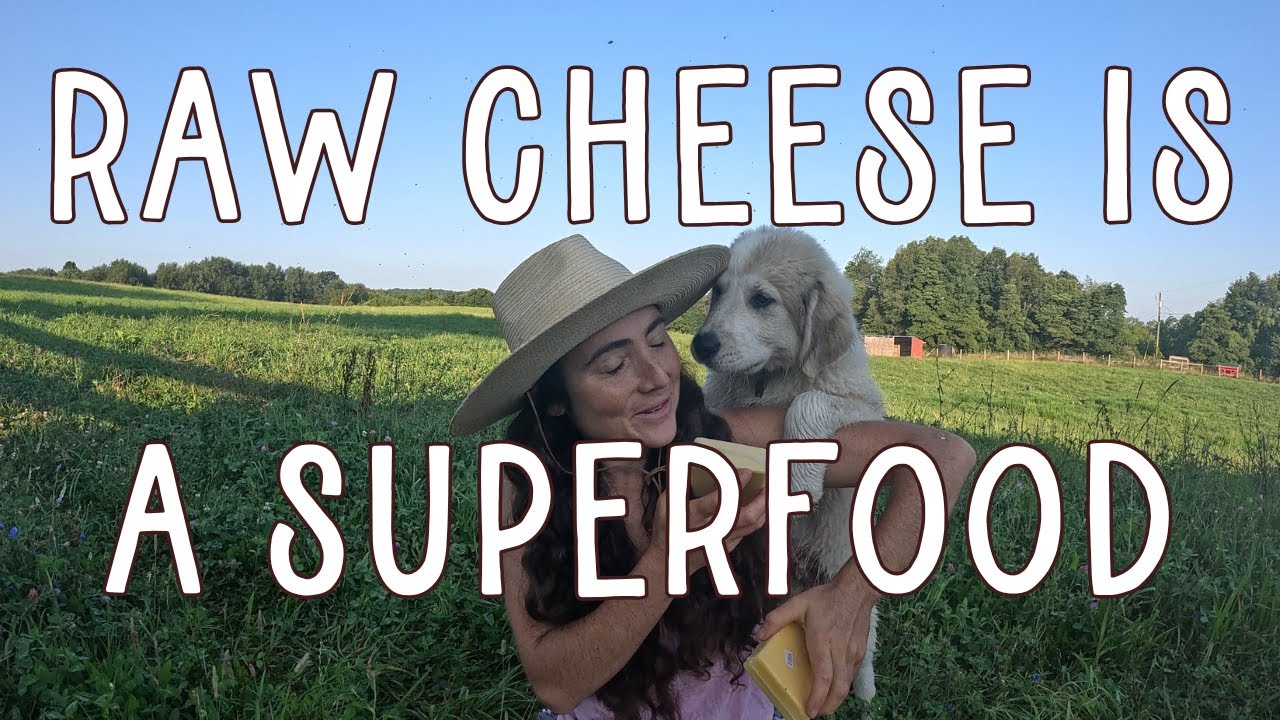 Raw Cheese Benefits 🧀 The REAL Natural Probiotic for Gut Health