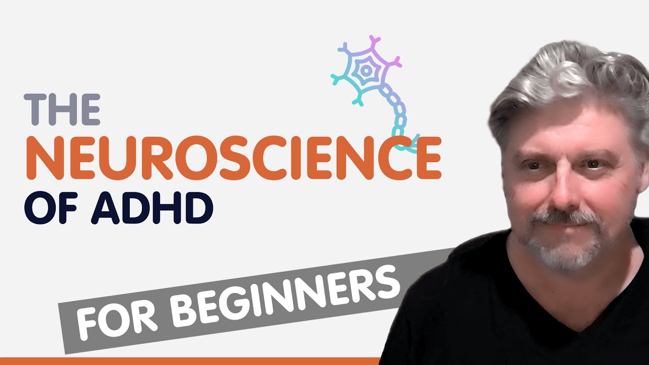 The Beginner&rsquo;s Guide to the Neuroscience of ADHD