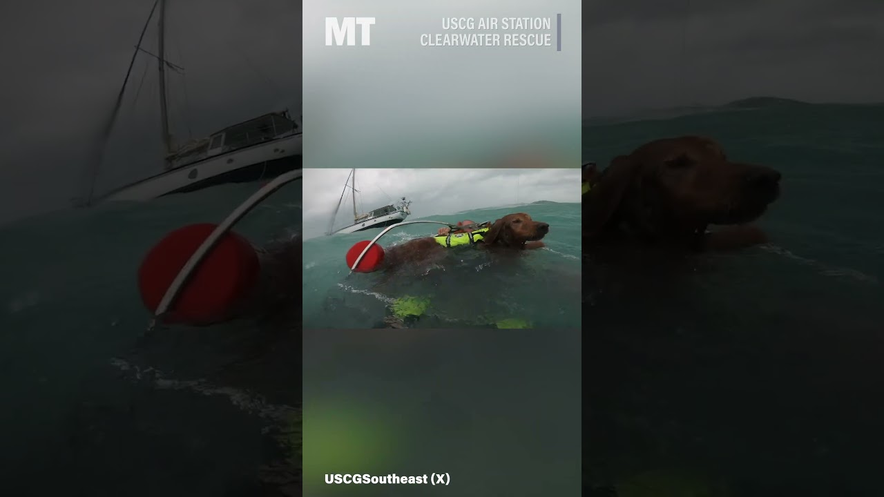 Watch the Coast Guard rescue a man and his dog during Hurricane Helene