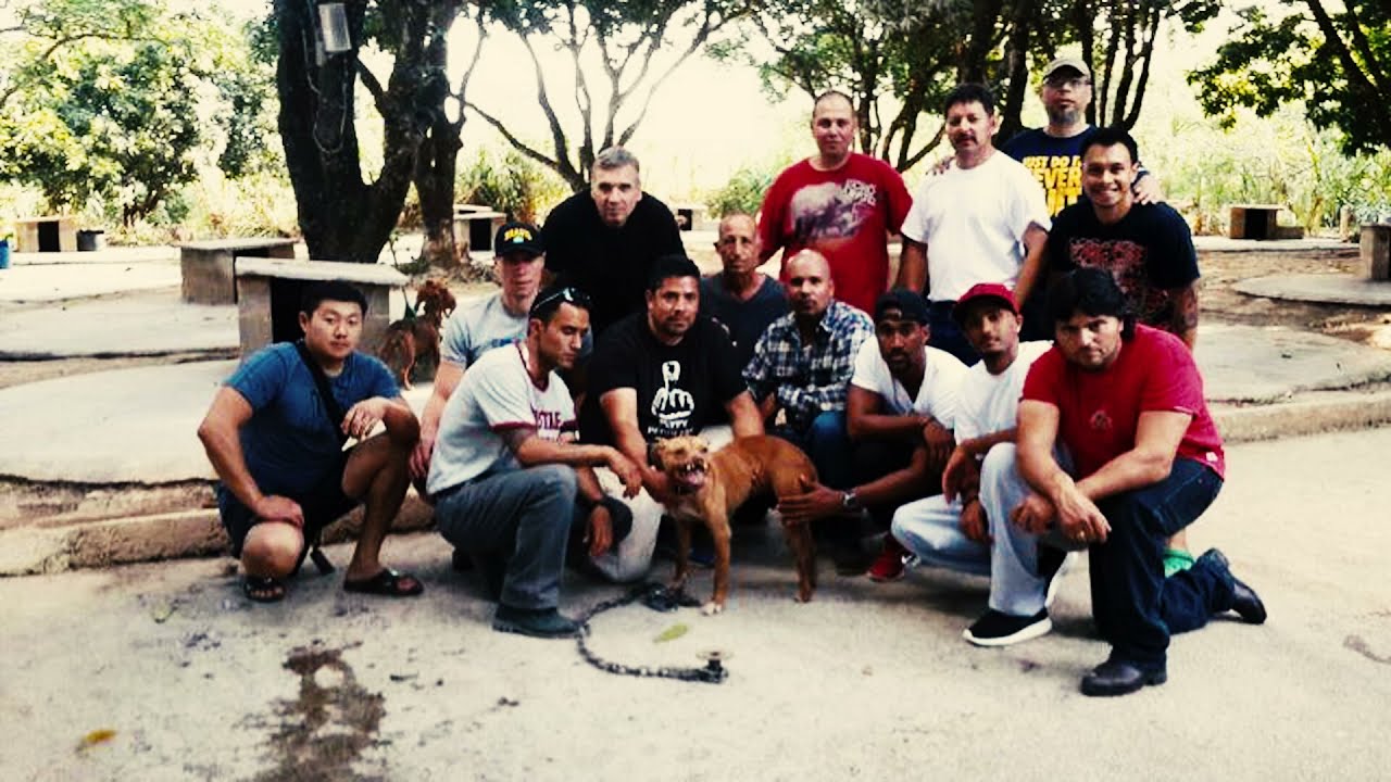 RUMBLE IN THE JUNGLE | WORLD FINALS