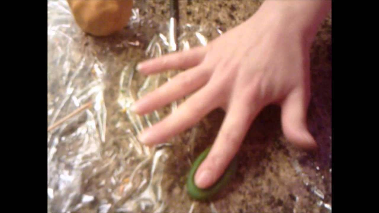 Shaping Marzipan