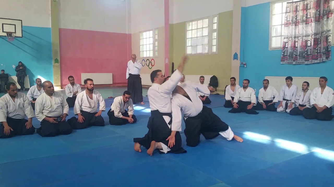 Suwari waza   Shomen Uchi   Irimi nage