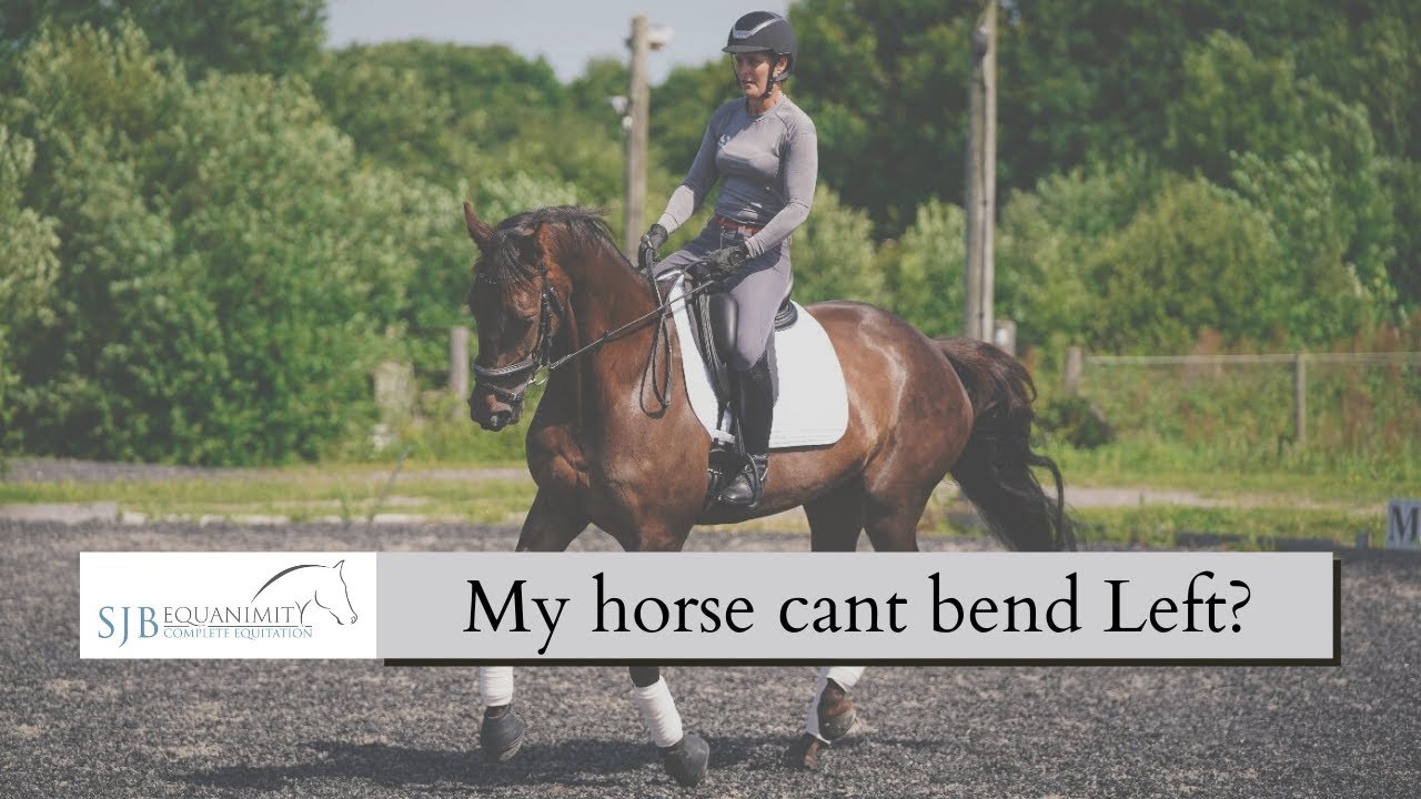 Exercises to straighten your horse | SJB Equanimity