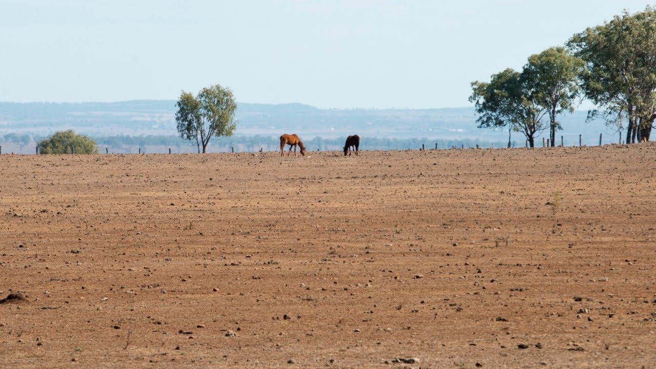 Farmers are 'panic buying' water as prices surge