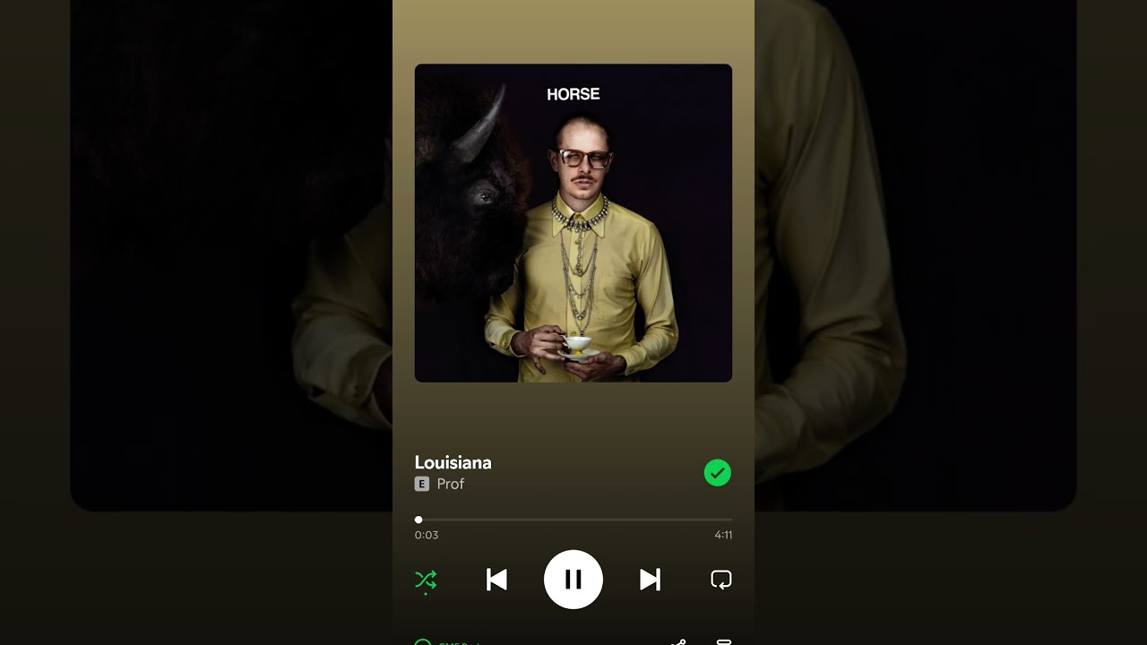 Prof - Louisiana, un classique. Allez écouter ses albums. 