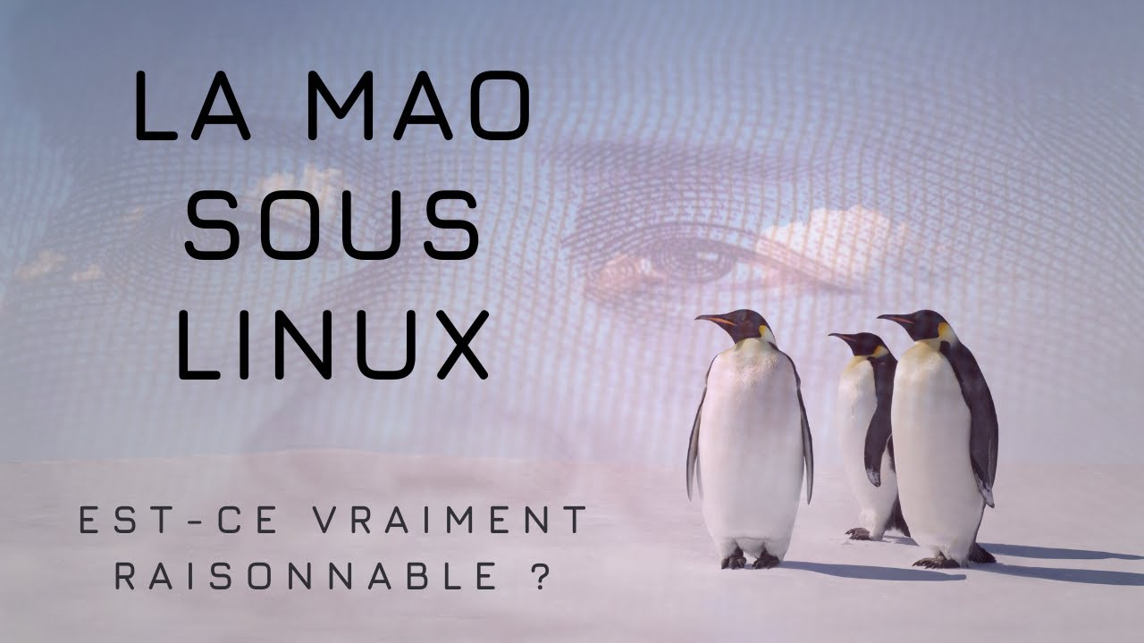 Est-il possible de dépasser les limites de la MAO sous Linux ?