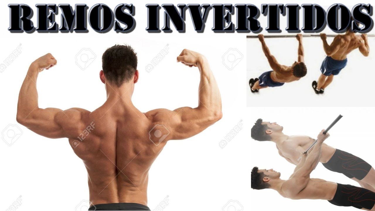 AUMENTA TU ESPALDA CON ESTE EJERCICIO. Los Remos Invertidos.