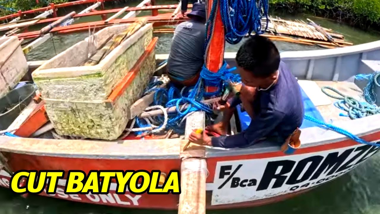 P2 - CUT FRONT BATYOLA - EP66