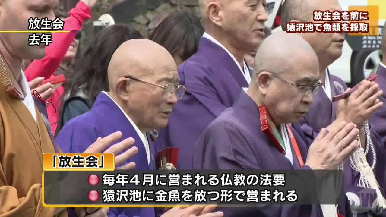 生態系保全をかねて　放生会を前に猿沢池で魚類を採取