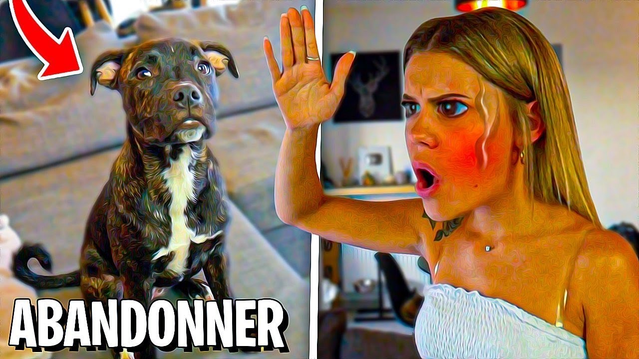 PRANK J'ABANDONNE NOTRE CHIEN ! *MA COPINE ME QUITTE*