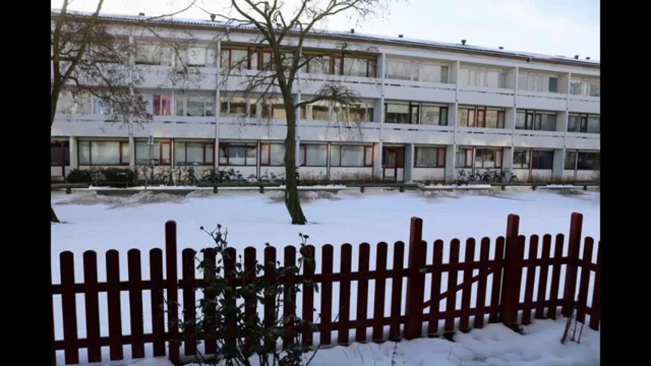 Video 01 9. januar 2016 Næstved, Min Have