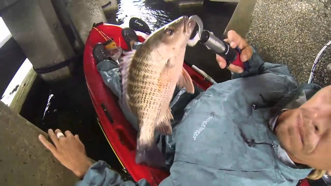 Рыбалка в дождливый день