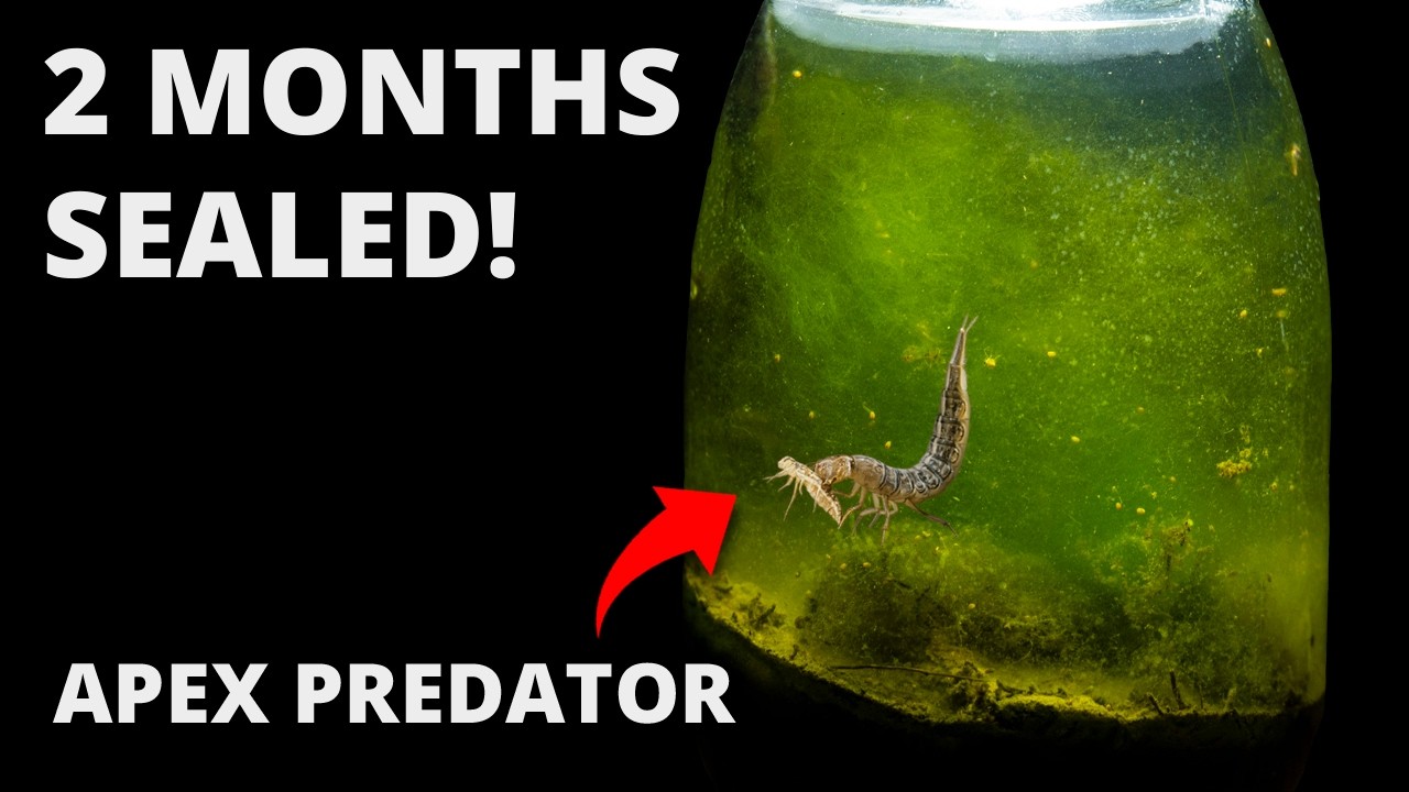 I Put Rain Puddle Mud in a Jar, Weeks Later THIS Appeared!