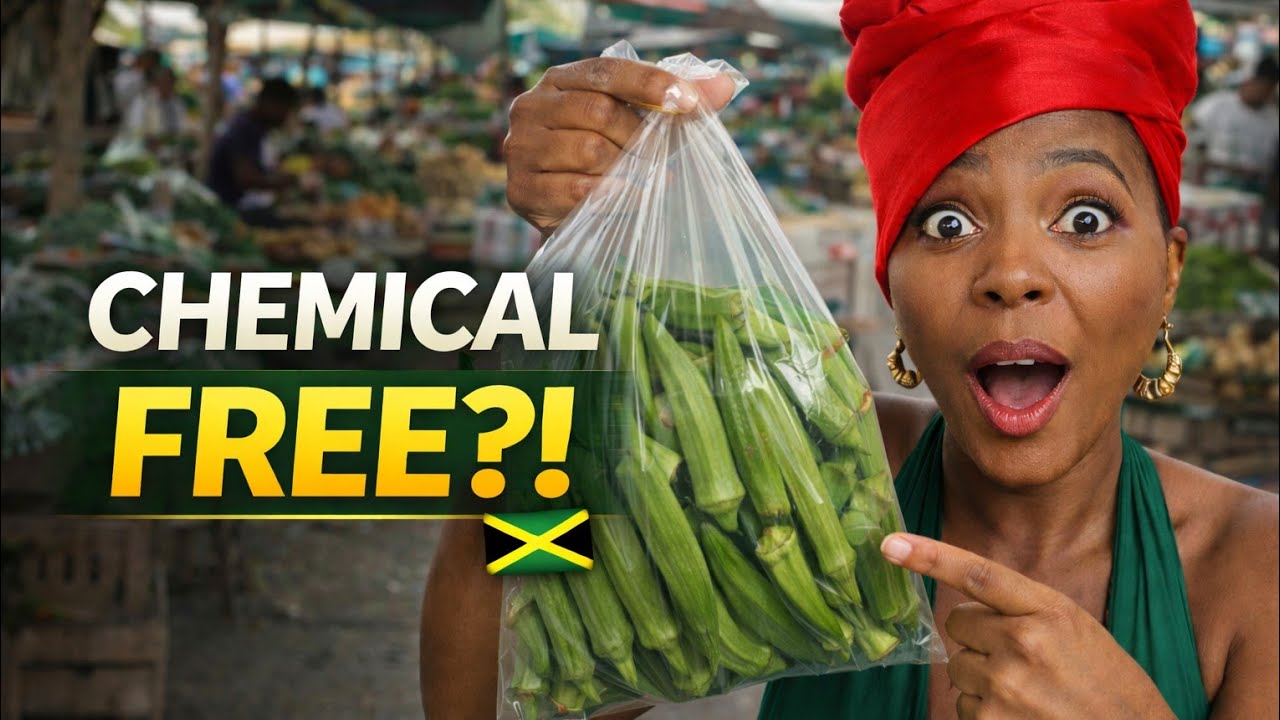 Лучшее место на Ямайке для покупки экологически чистых продуктов | Экскурсия по фермерскому рынку...