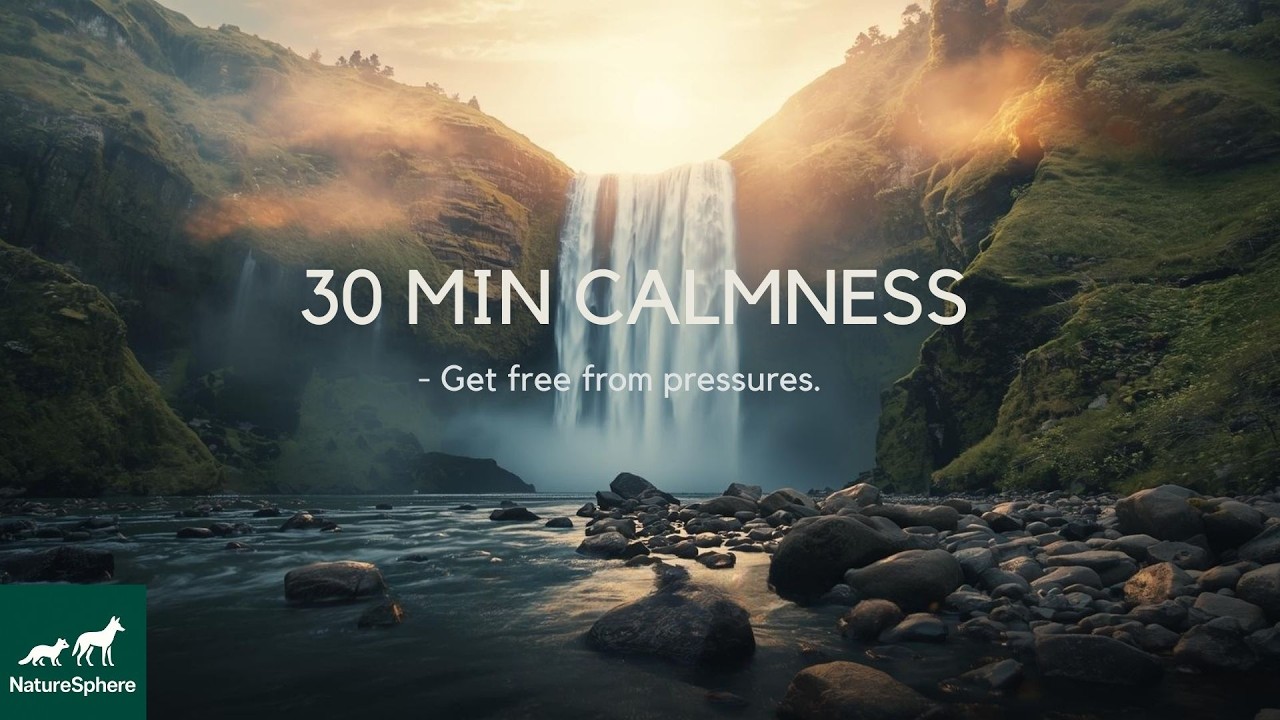30 Minutes of Calm | Let the Water Ease Your Mind