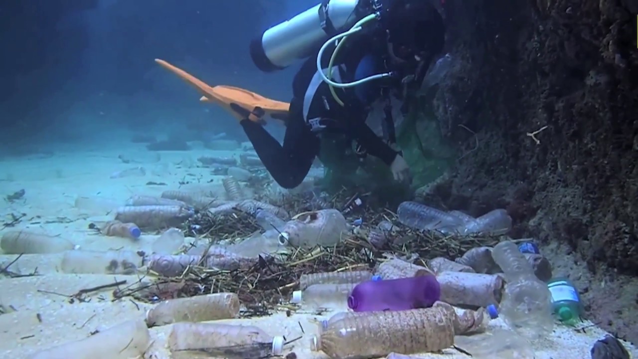 Goes Around Comes Around: A Song About Plastic Pollution in Our Oceans