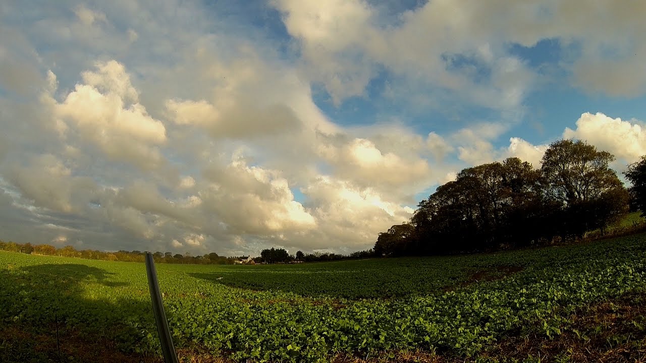 Special Sunrise - pigeon shooting times