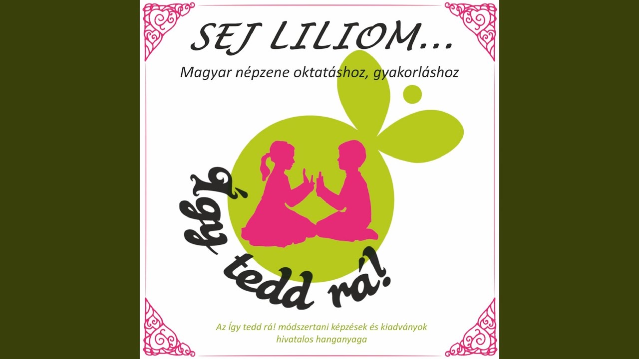 NEM ELÉG A LÁBOMNAK (SZATMÁRI LASSÚ ÉS FRISS CSÁRDÁS)