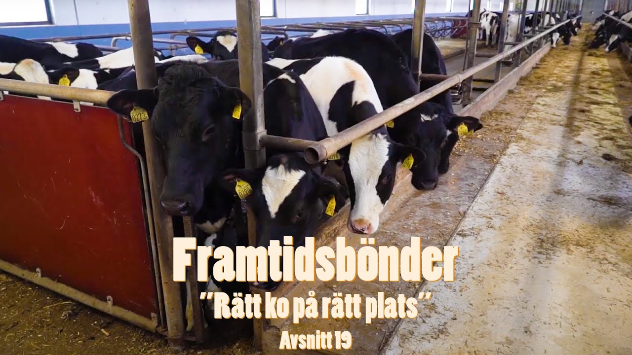 Framtidsbönder Avsnitt 19 - Österbo Gård på Öland