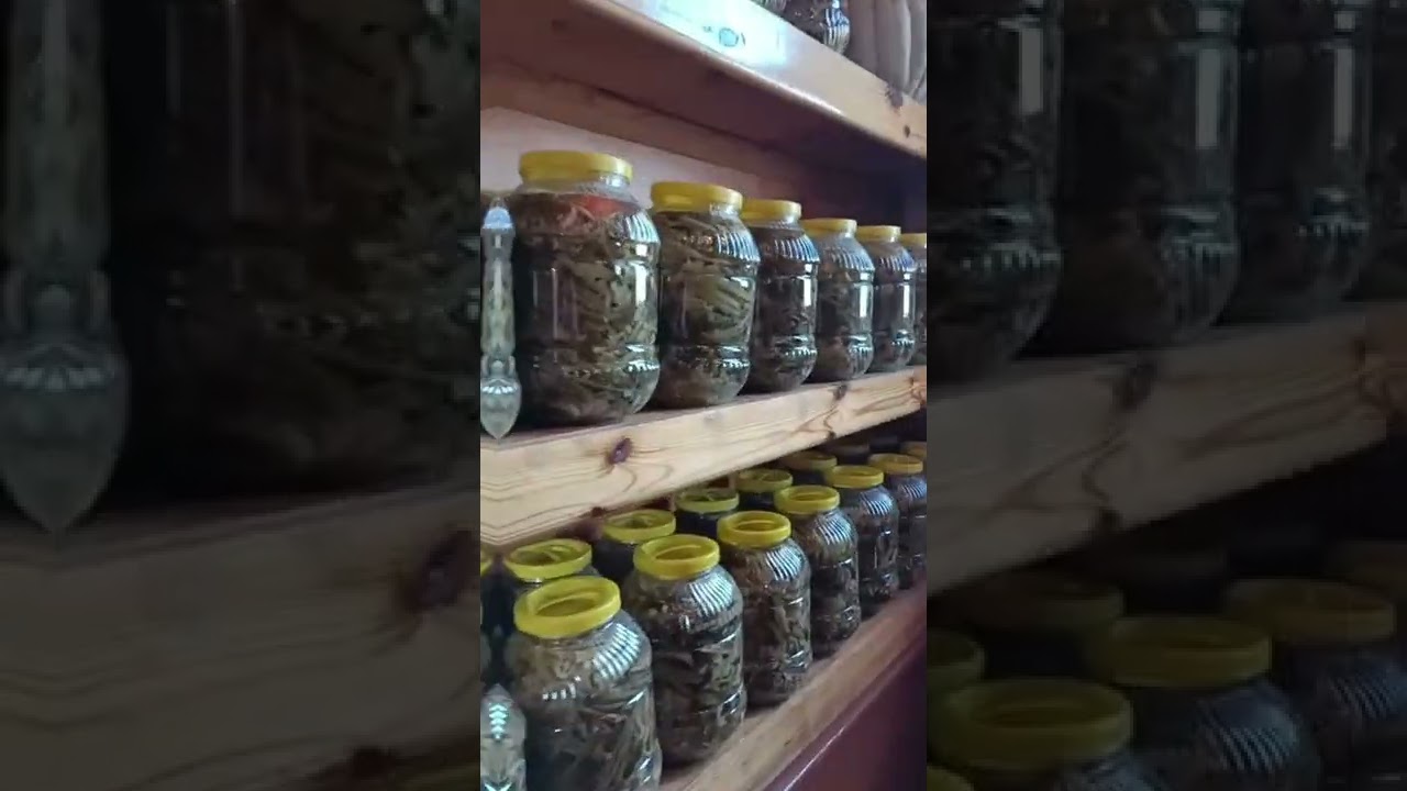 Kavak Tirit Evi