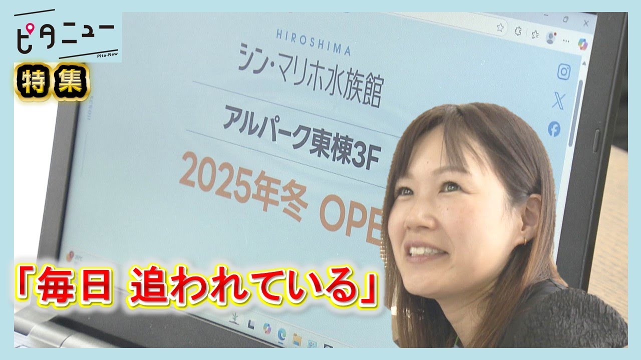 【舞台裏】「シン・マリホ水族館」オープン準備に密着｜ピタニュー特集