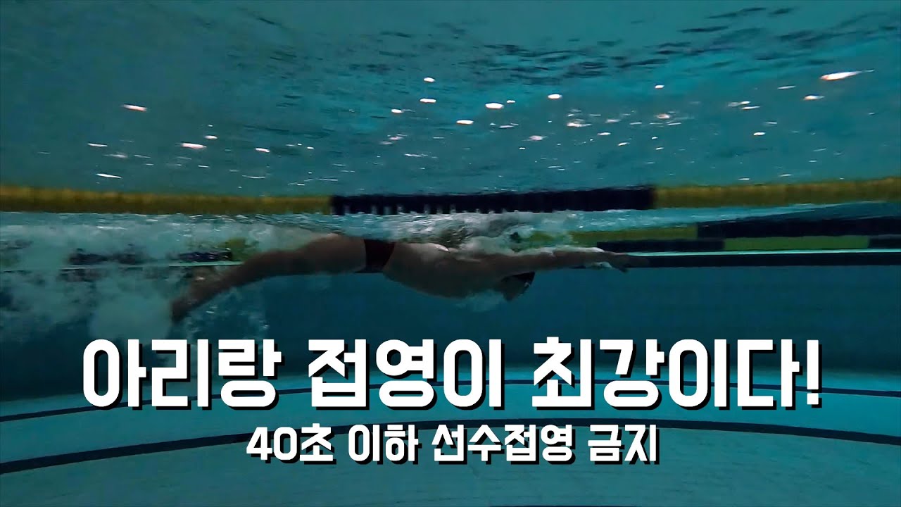 선수접영 금지! 플랫접영 금지! 접영을 잘하려면?!