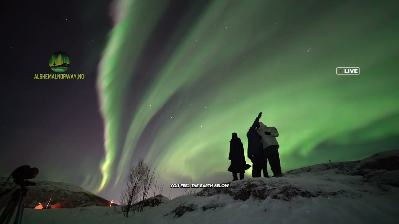 The Summit Call (Toppen Kaller) | Atmospheric Nordic Folk | 4K Aurora Borealis