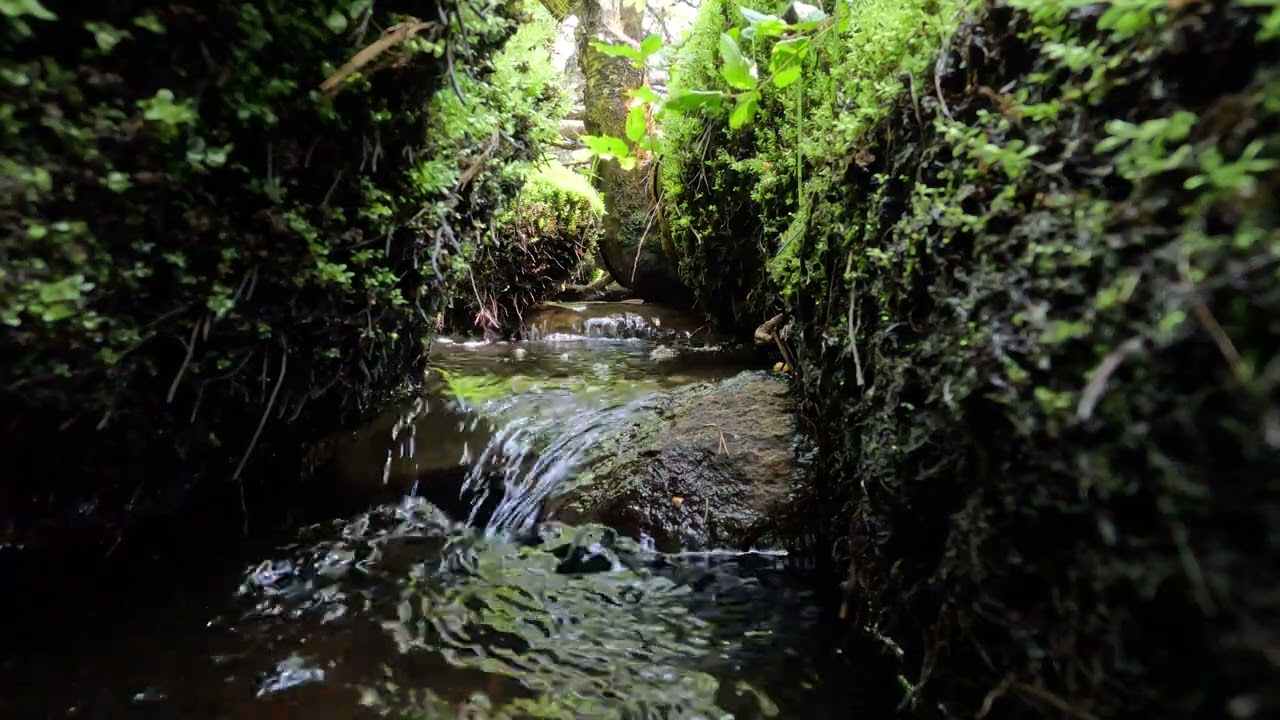 4 K Relaxing small stream