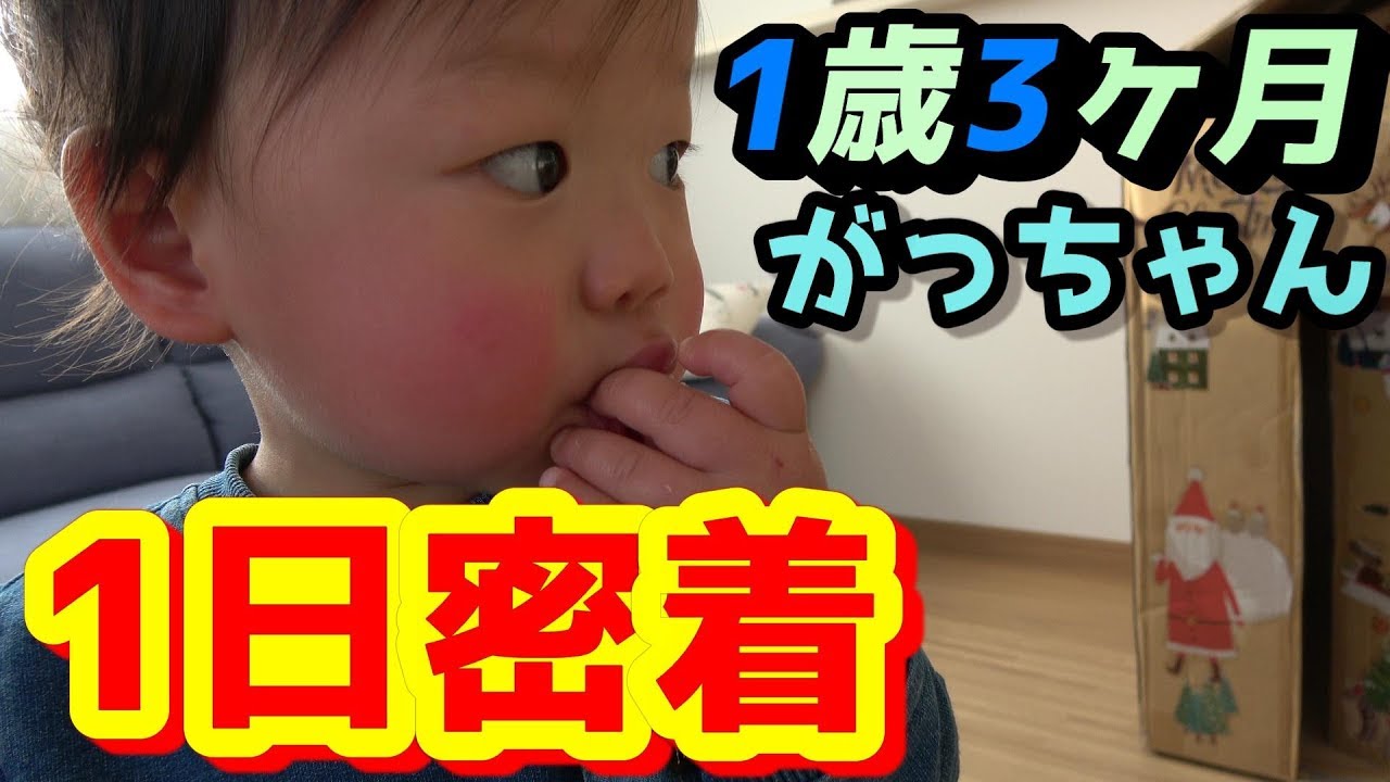 【1日密着】1歳3ヶ月の男の子がっちゃんのとある日の一日の風景【1歳児/育児/子育て/VLOG】
