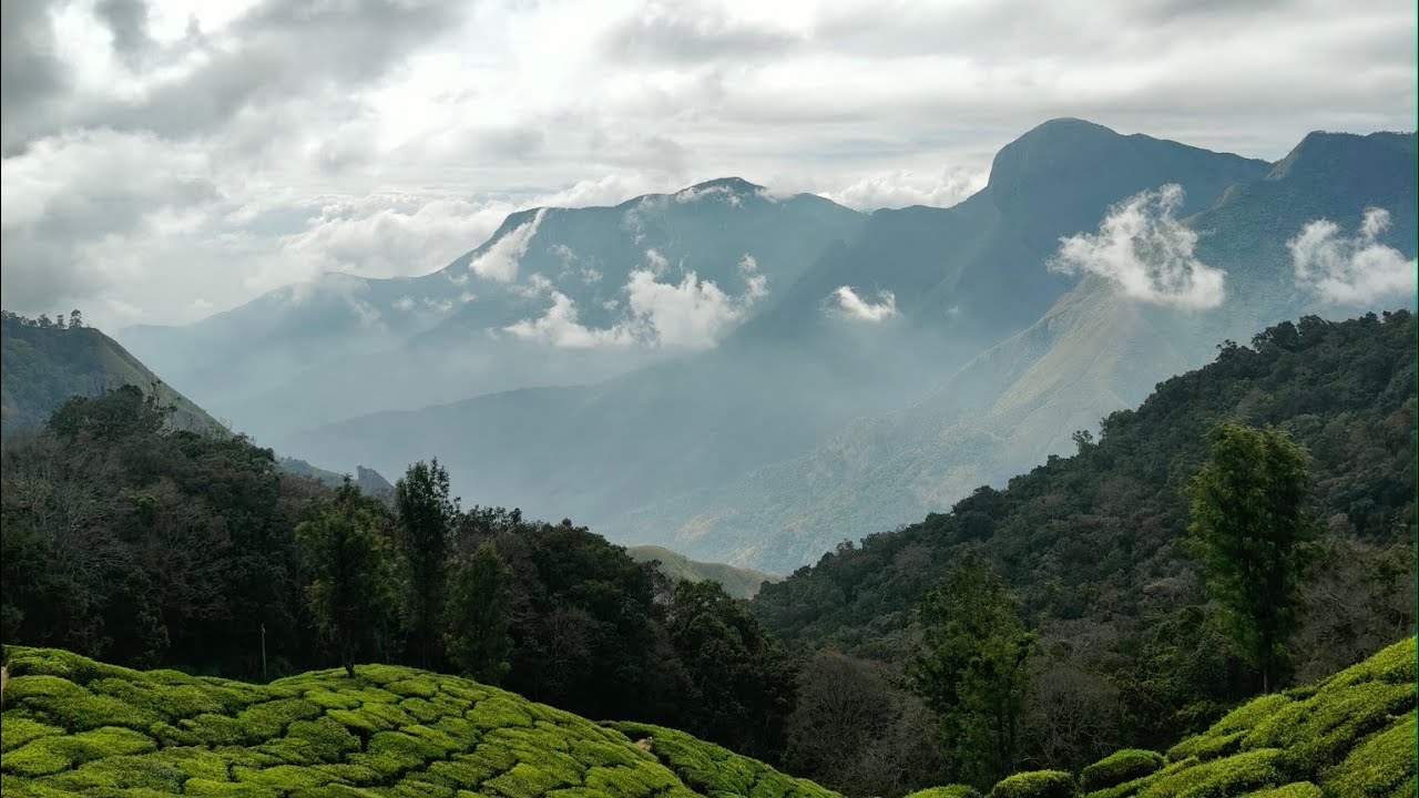 ||The Beauty of Munnar 🌲♥️ vlog part-2||