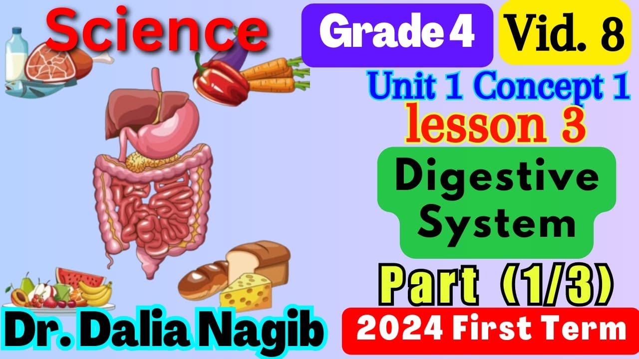 ساينس رابعه ابتدائي المنهج الجديد   Science Grade 4 Digestive System Concept 1 Lesson 3 Part 1