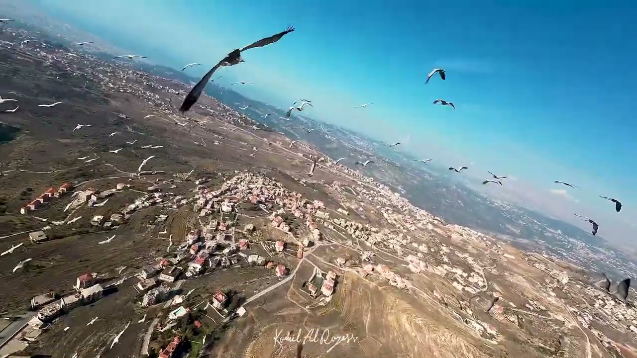 بلدة شانيه - حملة وجه لبنان الجميل|  Chanay - Lebanon