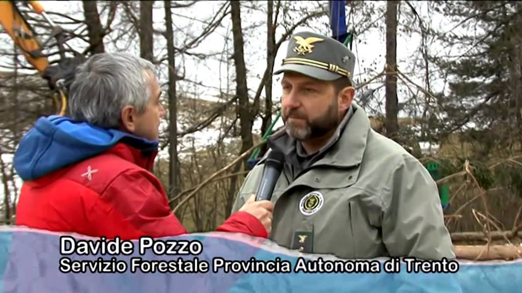 Girovagando alla scoperta degli abeti di risonanza di Paneveggio
