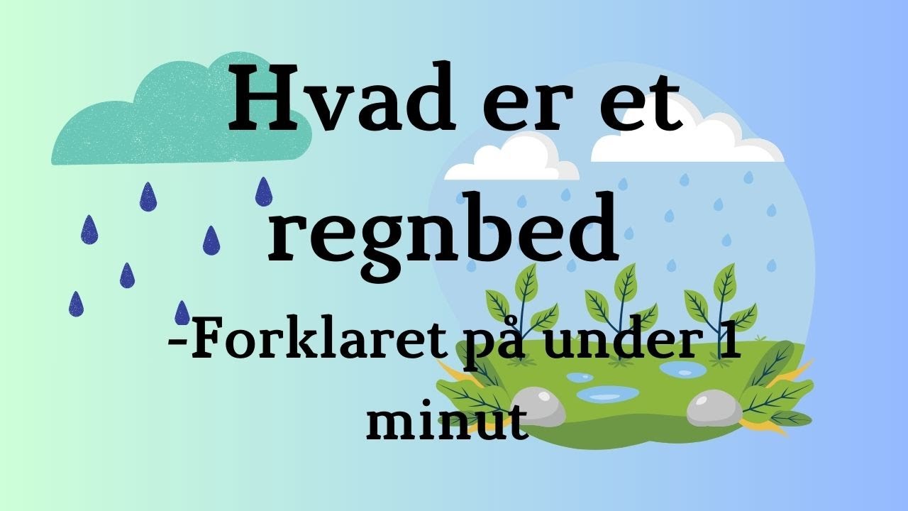 Hvad er et regnbed? 💧 Sådan fungerer regnbede på 1 minut!