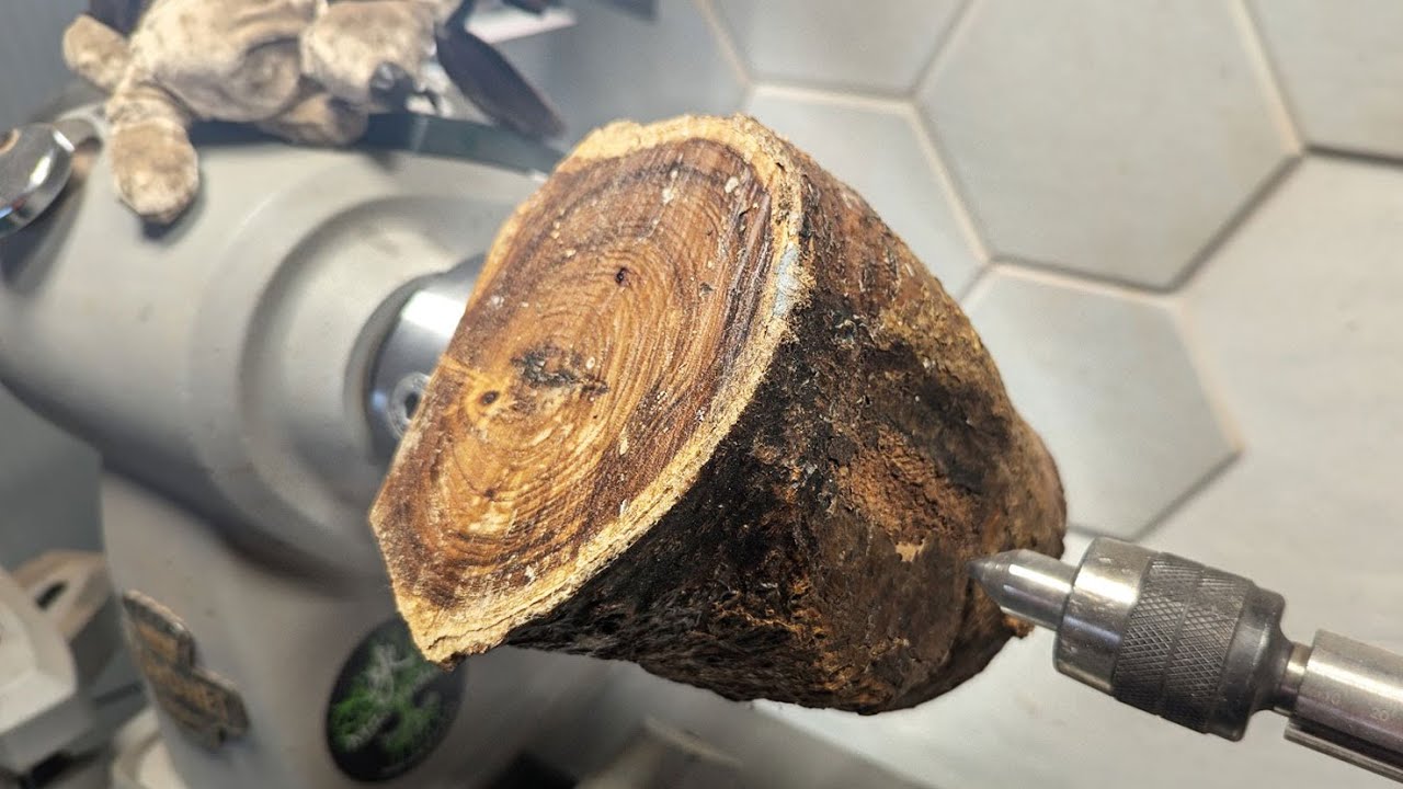 No Bananas here! - Getting the most from a Laburnum log, Woodturning Project