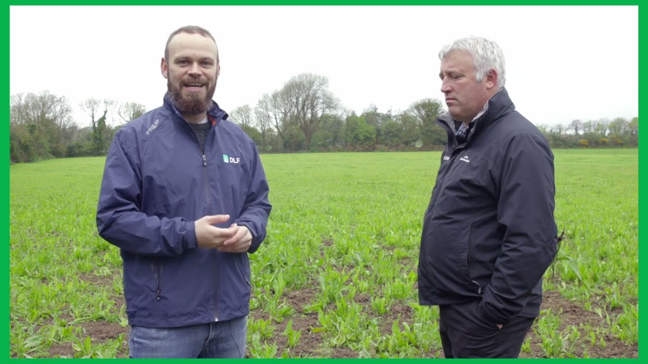 The Value of Ribwort Plantain in Grass Mixtures with Dr Glenn Judson