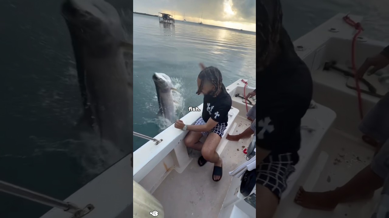 Unexpected fish behavior#funny #fish #crazy #fail #fyp